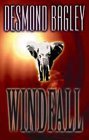 Cover Windfall (Desmond Bagley)