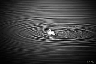 20090819-1