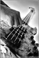 rockingtheharp_0112a