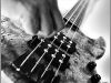 rockingtheharp_0112a