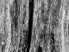 20090820-1