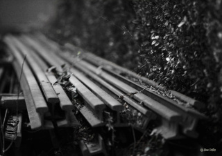 Rusty rails