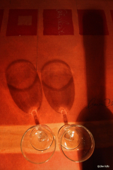 20100117-1