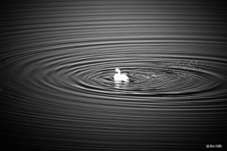 20090819-1