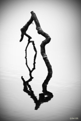 20090821-1