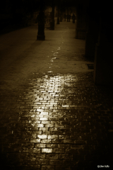 20101129-2
