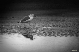 20110102-1